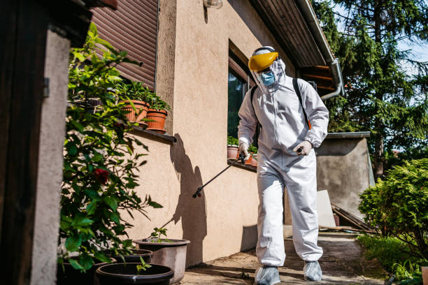 Best Wasp Removal Services  in Cochranton, PA