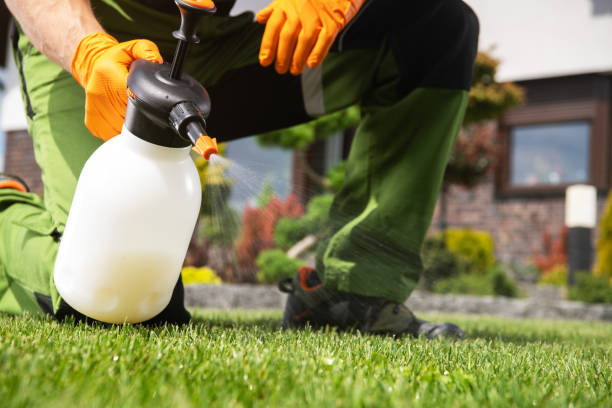 Best Wasp Removal Services  in Cochranton, PA