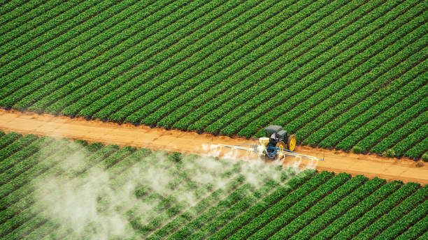 Best Best Pest Control Companies  in Cochranton, PA