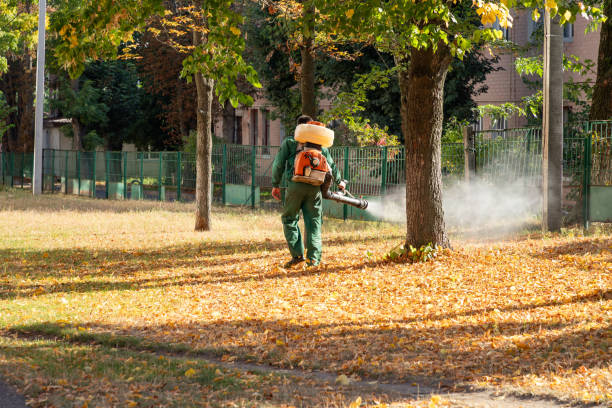 Best Flea Control Services  in Cochranton, PA